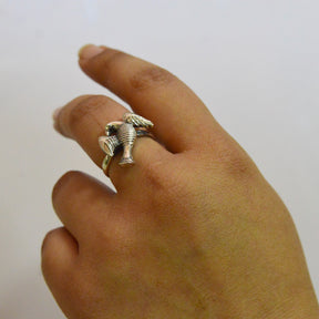 Bird ring