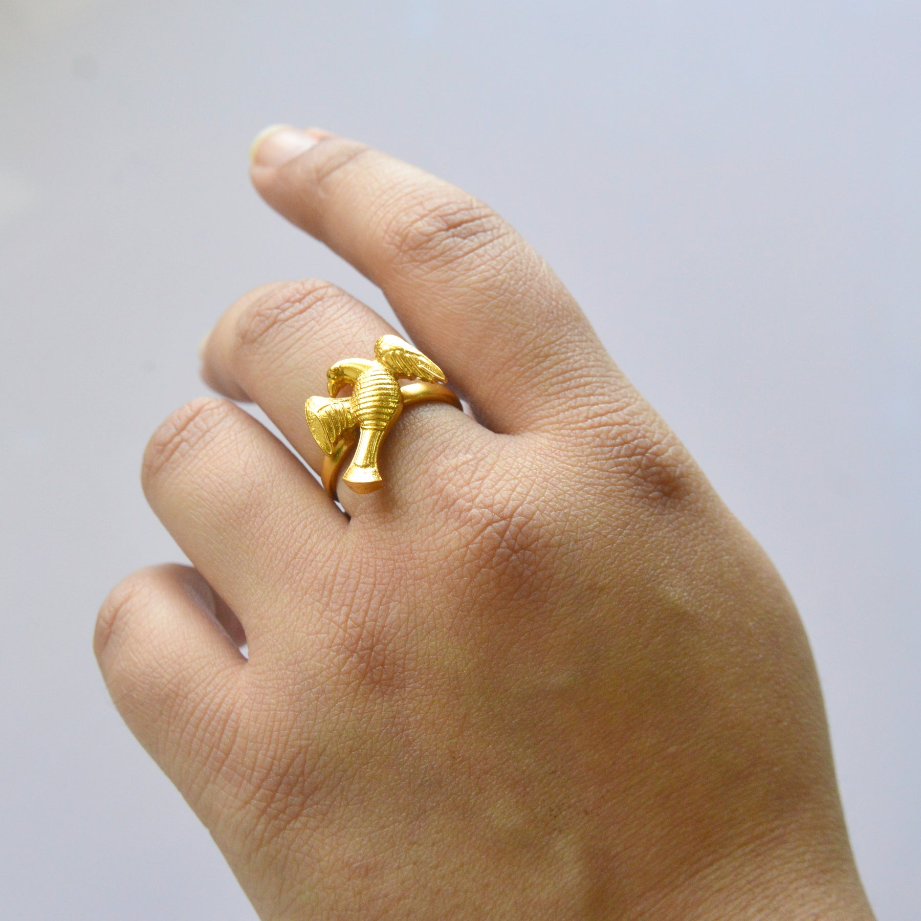 Bird ring