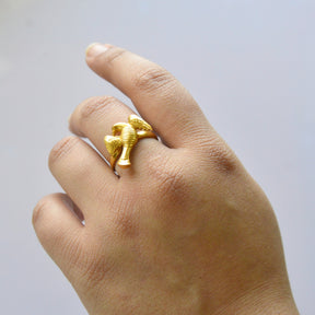 Bird ring